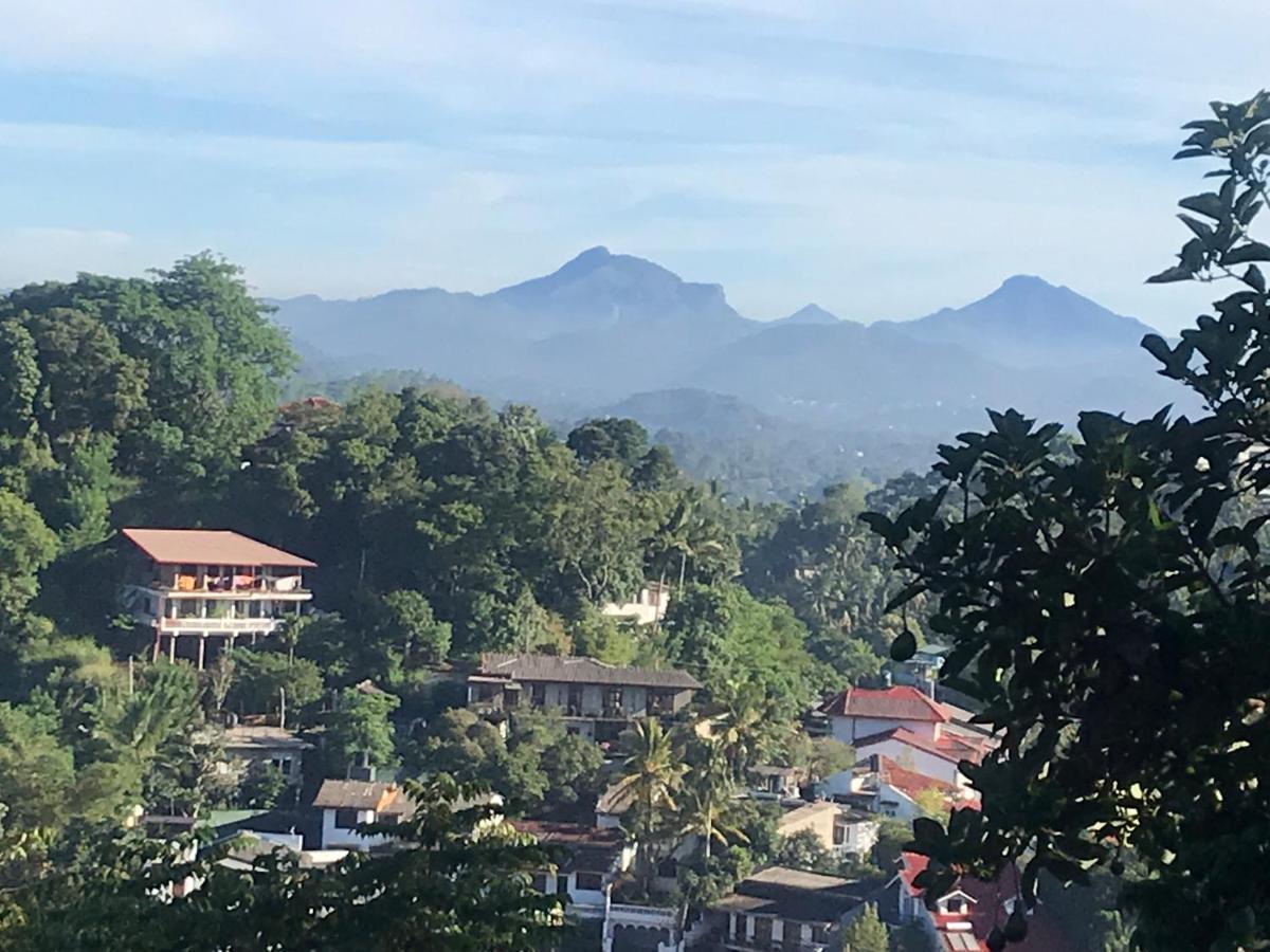 Amigo'S Home Stay Kandy Zewnętrze zdjęcie