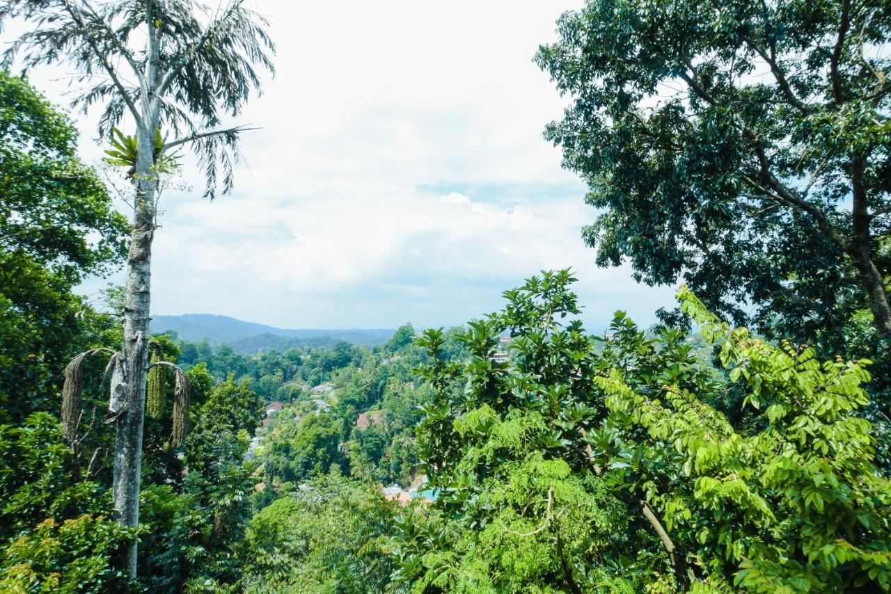 Amigo'S Home Stay Kandy Zewnętrze zdjęcie